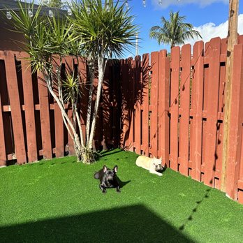 Roca Innovation - My girls love it - Artificial Turf Near Me Roca Innovation - My girls love it - Artificial Turf Near Me