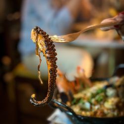 Restaurante Duque - Delicious grilled octopus- caramelized onion and garlic in olive oil
