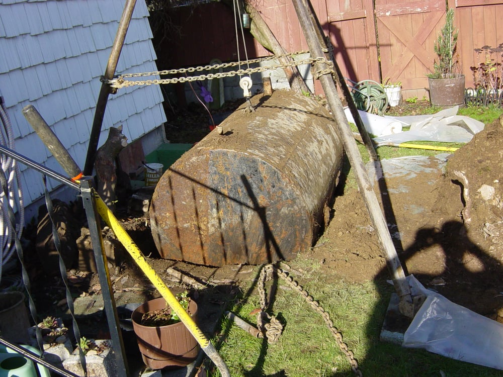 Filco - mold inspector in Seattle, WA