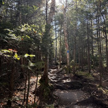 The Flume Gorge - The hike trail adjoining Flume Gorge - Parks Near Me - Lincoln, New Hampshire The Flume Gorge - The hike trail adjoining Flume Gorge - Parks Near Me - Lincoln, New Hampshire