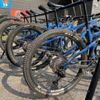 Bicycle Express gift card