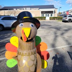 Pure Dental - Manorville - Turkey was here to see Dr Herring.
