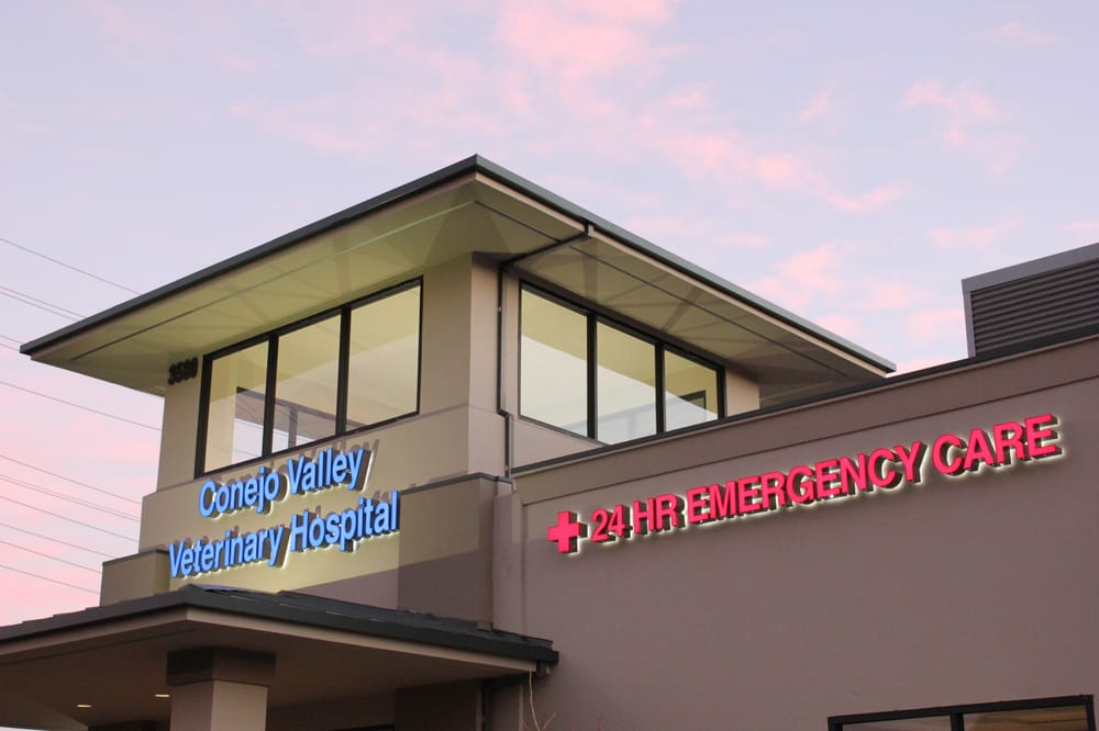 CONEJO VALLEY VETERINARY HOSPITAL Updated July 2024 263 Photos