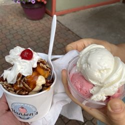 Hansen’s Ice Cream Parlor - Pecan Plaza icecream