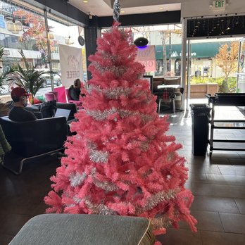 Pink Owl Coffee - Coffee & Tea Near Me - San Rafael, California Pink Owl Coffee - Coffee & Tea Near Me - San Rafael, California