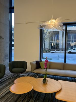 Apotheos Coffee Midtown by null