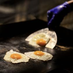 Organic Eggs