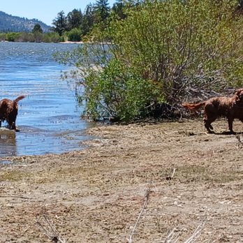 Big Bear Vacations - My 2 Setters at Big Bear Lake. - Vacation Rentals Near Me - Big Bear Lake, California Big Bear Vacations - My 2 Setters at Big Bear Lake. - Vacation Rentals Near Me - Big Bear Lake, California