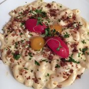 Photo of Plantae - Tivoli, NY, United States