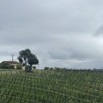 Laetitia Vineyard & Winery - Wine Tasting Room Near Me - Arroyo Grande, California Laetitia Vineyard & Winery - Wine Tasting Room Near Me - Arroyo Grande, California
