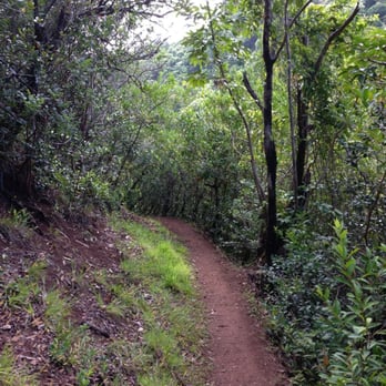 Makiki Valley Trail - Hiking Near Me - Honolulu, Hawaii Makiki Valley Trail - Hiking Near Me - Honolulu, Hawaii