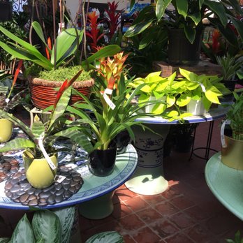 La Crescenta Nursery - Nurseries & Gardening Near Me - Glendale, California La Crescenta Nursery - Nurseries & Gardening Near Me - Glendale, California