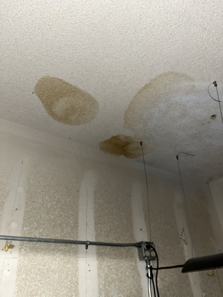 Slide of Manuel Tovar