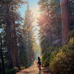 Paco's Truckee Bike & Ski
