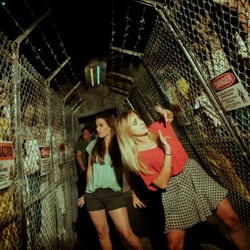 Outbreak