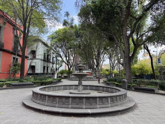 Museo Franz Mayer by null