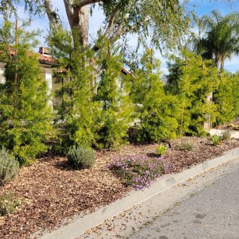 KL Designs - Privacy screen - Landscape Architects or Designers Near Me KL Designs - Privacy screen - Landscape Architects or Designers Near Me