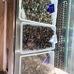 Marisqueira Mar-A-Vista - The catch of the day
