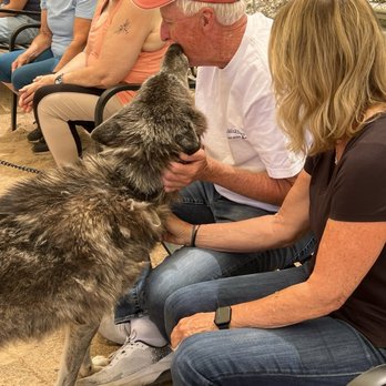 Sedona Wolf Sanctuary - Community Service/Non-Profit Near Me - Sedona, Arizona Sedona Wolf Sanctuary - Community Service/Non-Profit Near Me - Sedona, Arizona