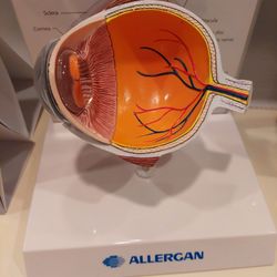 Lesslie Vision Care