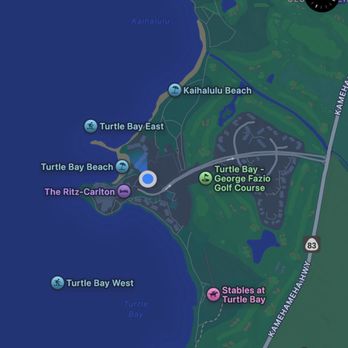 Hawaii Turtle Tours - went snorkeling here due to the swell of the weather being a rainy day - Tours Near Me - Honolulu, Hawaii