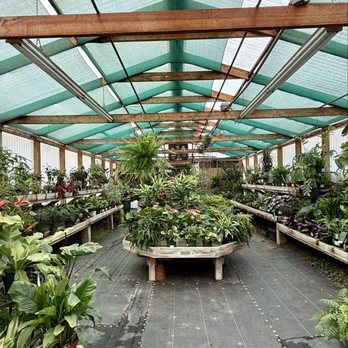 Yamaguchi Bonsai Nursery - Nurseries & Gardening Near Me - Los Angeles, California Yamaguchi Bonsai Nursery - Nurseries & Gardening Near Me - Los Angeles, California