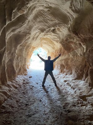 Coral Pink Sand Dunes State Park by null