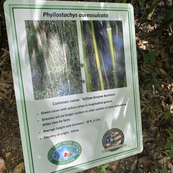 Wilderness Park And Bamboo Forest - Parks Near Me - Prattville, Alabama