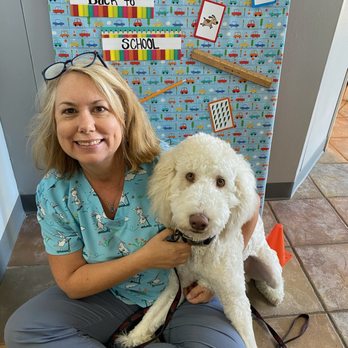 South Arlington Animal Clinic - Veterinarians Near Me - Arlington, Texas South Arlington Animal Clinic - Veterinarians Near Me - Arlington, Texas