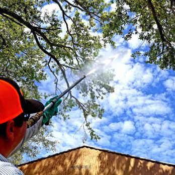 BugPro - Pest Control Near Me - Corpus Christi, Texas BugPro - Pest Control Near Me - Corpus Christi, Texas