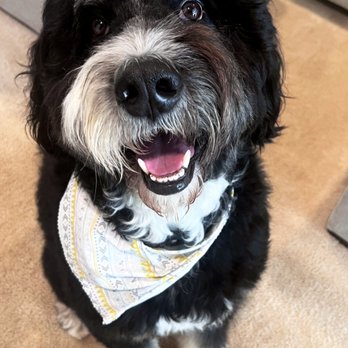 Waggy Baths - Pet Groomers Near Me - Manassas, Virginia Waggy Baths - Pet Groomers Near Me - Manassas, Virginia