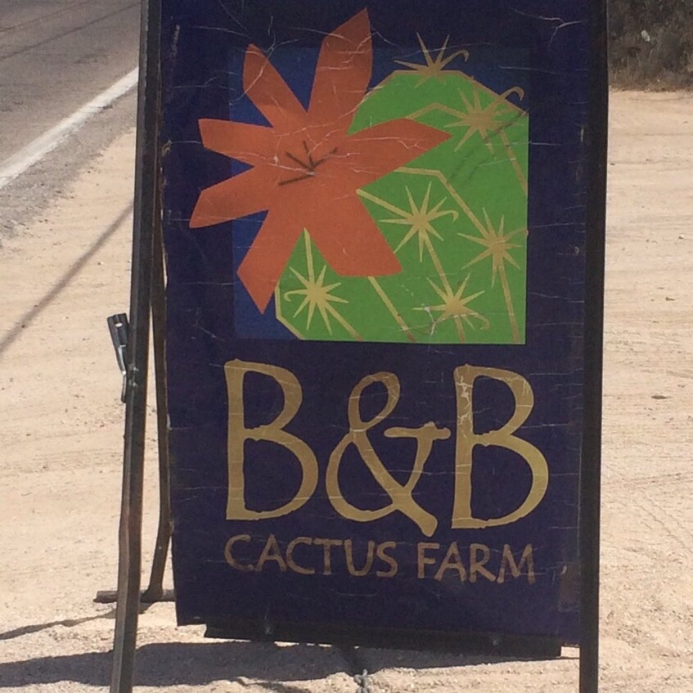 B & B Cactus Farm - Watch for the sign. - Nurseries & Gardening Near Me - Tucson, Arizona B & B Cactus Farm - Watch for the sign. - Nurseries & Gardening Near Me - Tucson, Arizona
