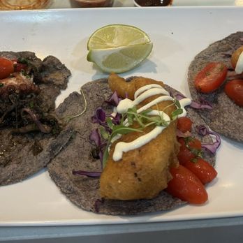 Holbox - Taco octopus, fish, shrimp - Latin American Near Me - Los Angeles, California