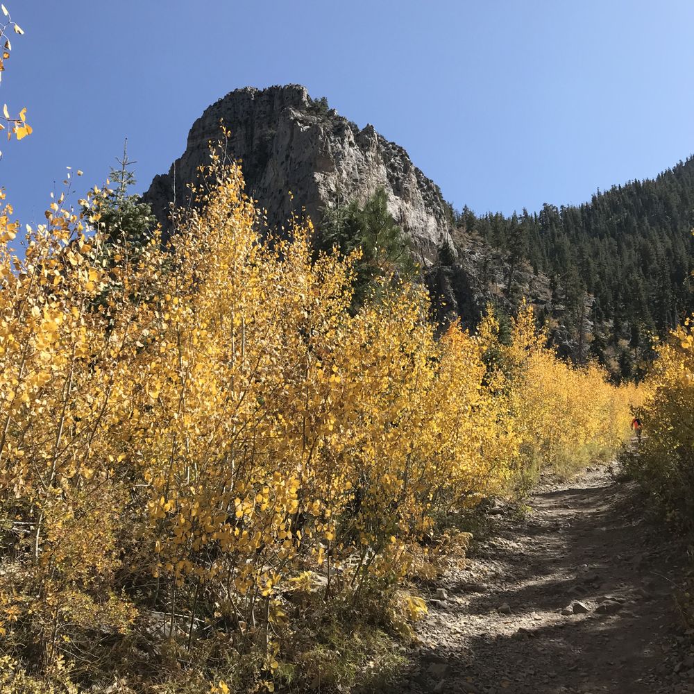 Cathedral Rock - Hiking Near Me - Mt Charleston, Nevada