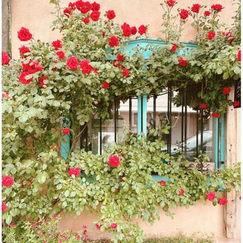 Bouquet - Florists Near Me - Kingston, Washington
