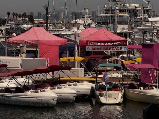 Point Loma Seafoods by null
