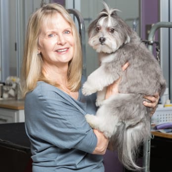 Critter Clippers - Pet Groomers Near Me - Mountain View, California Critter Clippers - Pet Groomers Near Me - Mountain View, California
