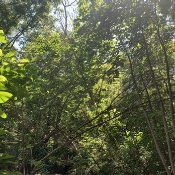 Swift Creek Bluffs Nature Preserve - Hiking Near Me - Cary, North Carolina Swift Creek Bluffs Nature Preserve - Hiking Near Me - Cary, North Carolina