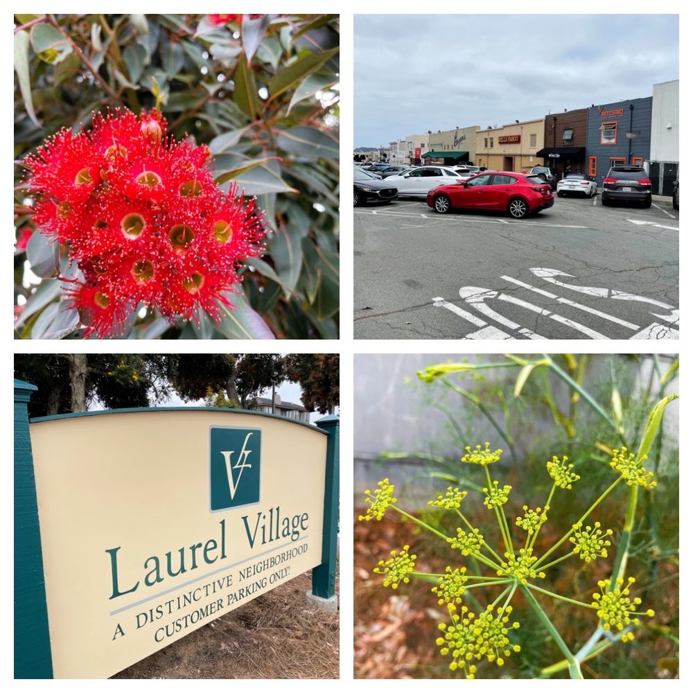 Laurel Village Shopping Center