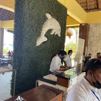 Dolphinaris - Arts & Entertainment Near Me - San Miguel de Cozumel, ROO