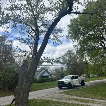 Omar Tree Services - Tree Services Near Me - Kansas City, Missouri Omar Tree Services - Tree Services Near Me - Kansas City, Missouri