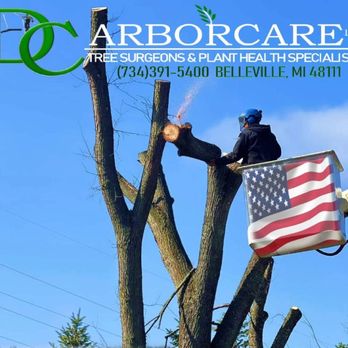 DC Arborcare - Tree Services Near Me - Belleville, Michigan