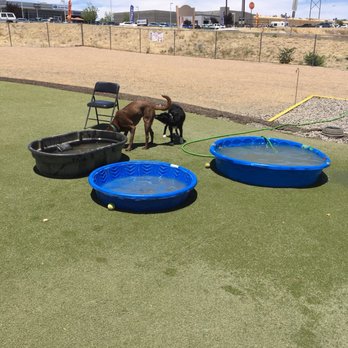Willow Creek Dog Park - Did someone say pools? - Dog Parks Near Me - Prescott, Arizona