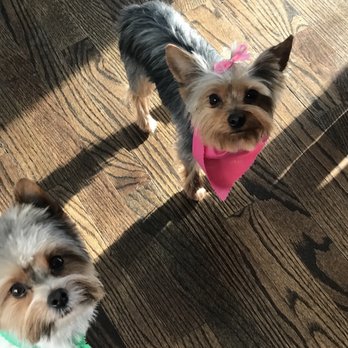 The Barker Shoppe - Gracie & Cooper - Pet Groomers Near Me - Antioch, Illinois The Barker Shoppe - Gracie & Cooper - Pet Groomers Near Me - Antioch, Illinois