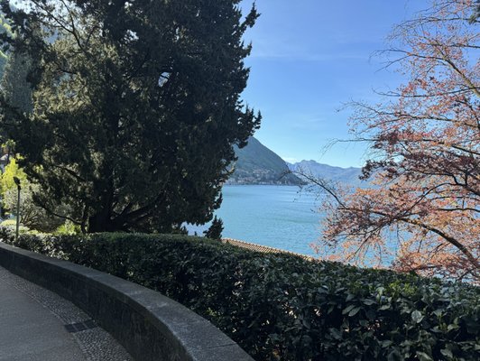 Villa Monastero by null