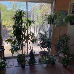 Desert Hot Springs Florist