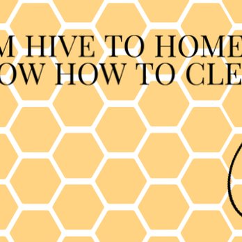 Bee’s Knees Cleaning - Home Cleaning Near Me Bee’s Knees Cleaning - Home Cleaning Near Me