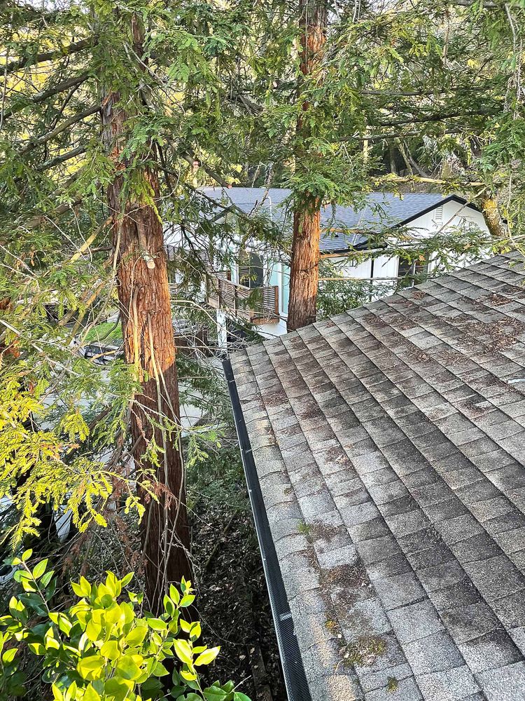 Slide of Lukas Pigeon Removal & Gutter Cleaning