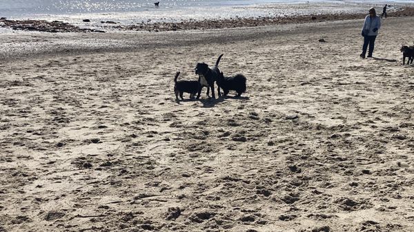 East End Beach by null