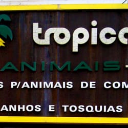 Tropical